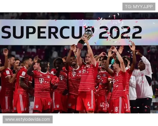 德甲新援价值评估