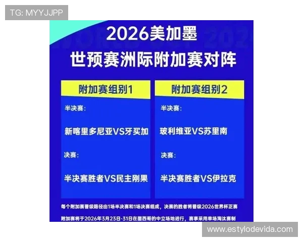 2026世界杯完整版晋级决定详解